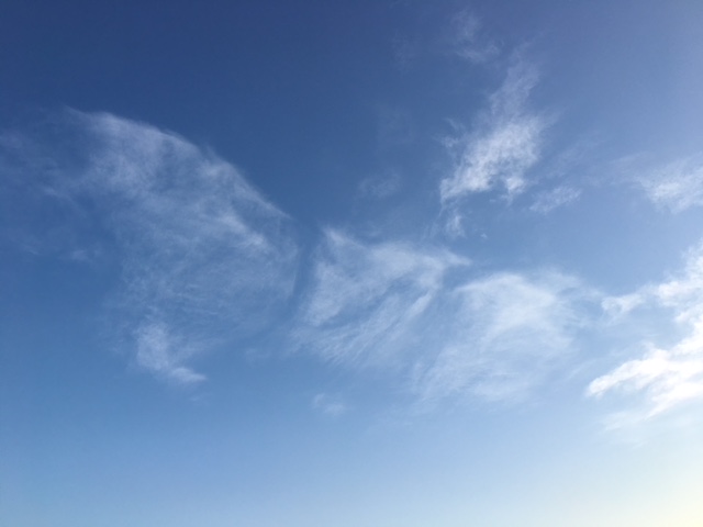 鳥の雲